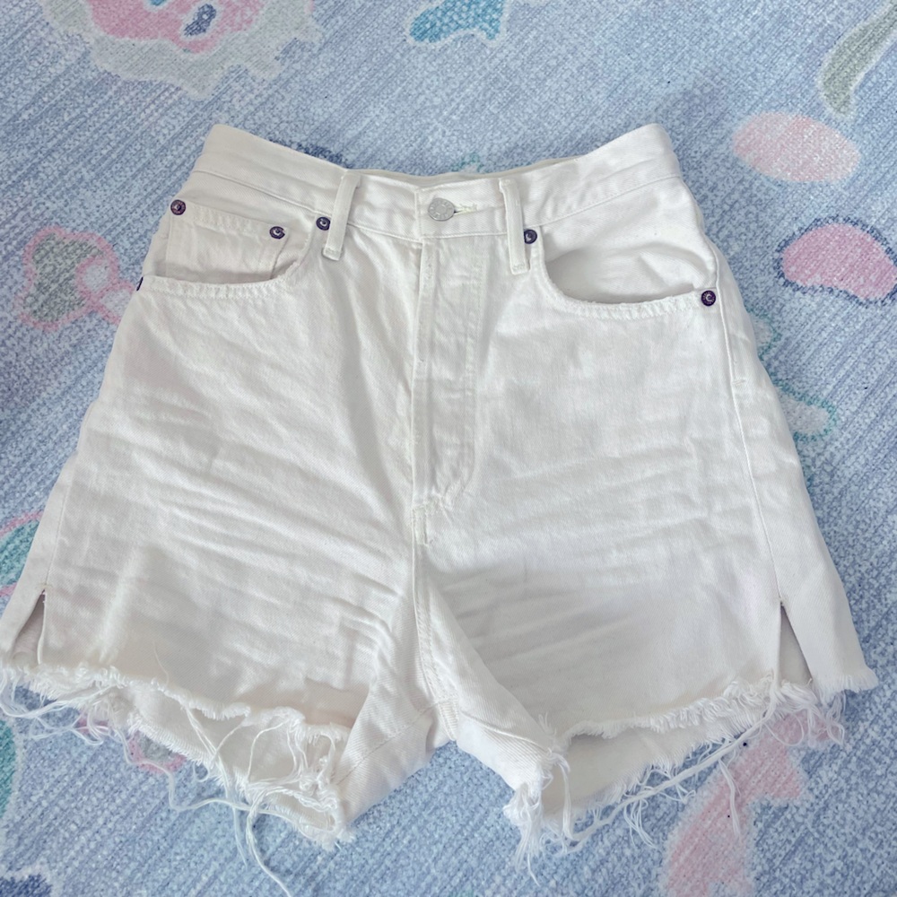 Agolde Dee Vintage High Rise Shorts